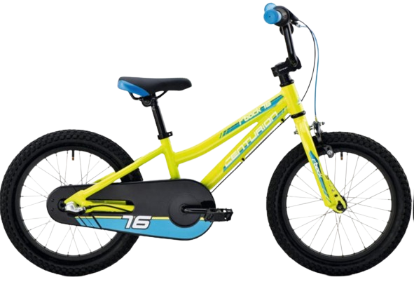Bicicletta per bambini