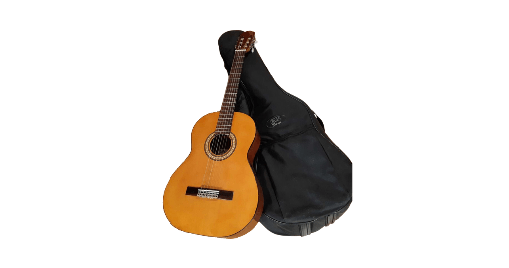 Chitarra con custodia